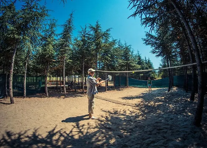 Apartment Cozy In Grand Noks With Sea View