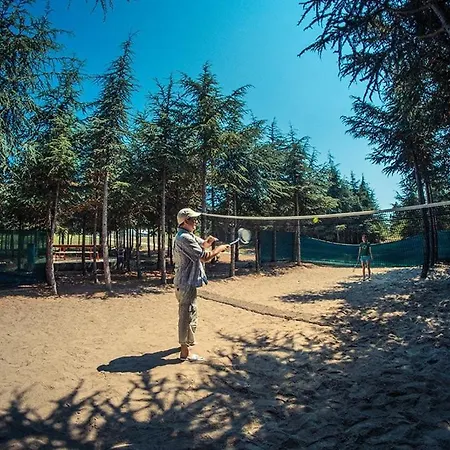 アパート Cozy In Grand Noks With Sea View